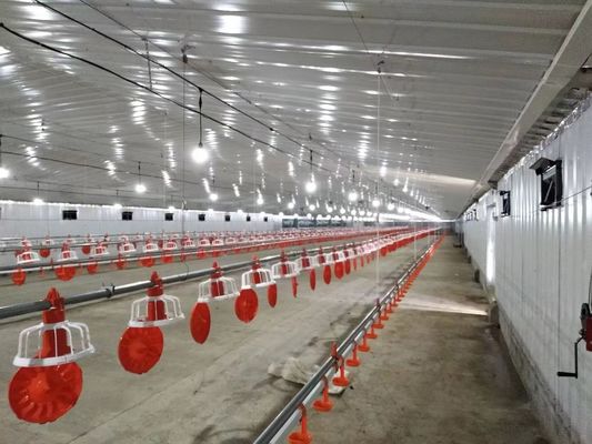 Struttura in acciaio galvanizzato Poultry House Chicken Coop Prefabricated Farm Buildings Customized