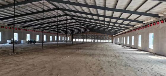 Struttura prefabbricata in acciaio Casella di pollame Q235B Q355B Casella di pollo a telaio in acciaio