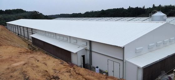 Struttura di acciaio per aziende agricole su misura Capannoni per pollame Q235B Q355B lamiera di acciaio galvanizzato