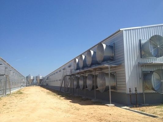 Struttura in acciaio automatico Poultry Farm Shed Design Moderna casa di pollo