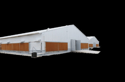 Broiler Pollame Case prefabbricate Struttura in acciaio Attrezzature di allevamento di polli completamente automatizzate