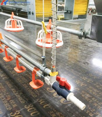 Coltivazione di polli in acciaio personalizzata, Edifici di coltivazione in acciaio leggero